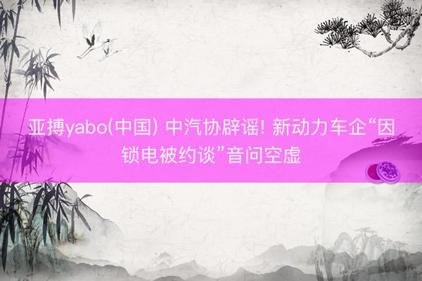 亚搏yabo(中国) 中汽协辟谣! 新动力车企“因锁电被约谈”音问空虚