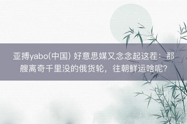 亚搏yabo(中国) 好意思媒又念念起这茬：那艘离奇千里没的俄货轮，往朝鲜运啥呢？