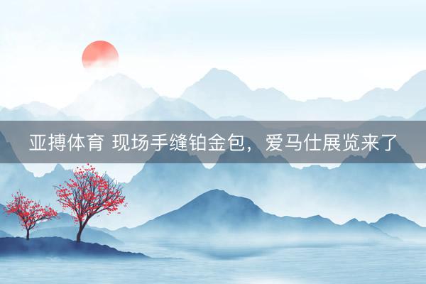 亚搏体育 现场手缝铂金包，爱马仕展览来了