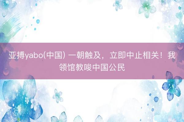 亚搏yabo(中国) 一朝触及,立即中止相关!我领馆教唆中国公民