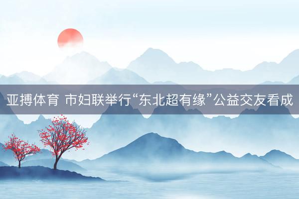 亚搏体育 市妇联举行“东北超有缘”公益交友看成