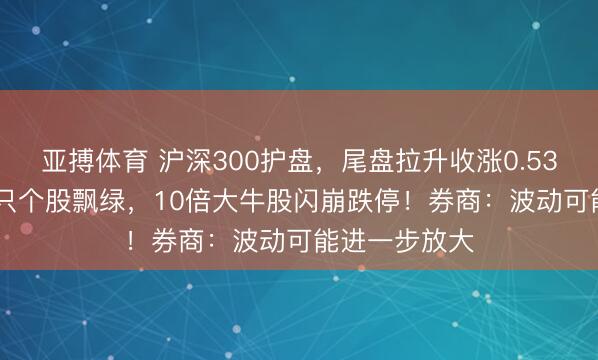 亚搏体育 沪深300护盘，尾盘拉升收涨0.53%；超4000只个股飘绿，10倍大牛股闪崩跌停！券商：波动可能进一步放大