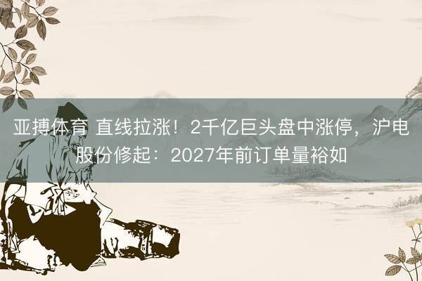 亚搏体育 直线拉涨！2千亿巨头盘中涨停，沪电股份修起：2027年前订单量裕如