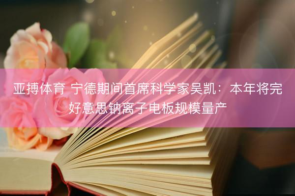 亚搏体育 宁德期间首席科学家吴凯：本年将完好意思钠离子电板规模量产