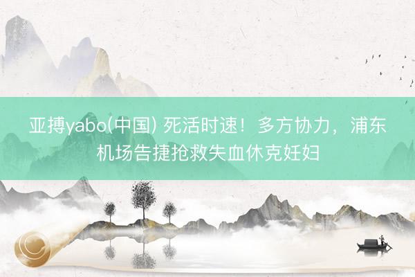 亚搏yabo(中国) 死活时速！多方协力，浦东机场告捷抢救失血休克妊妇