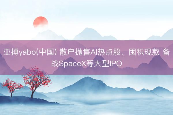 亚搏yabo(中国) 散户抛售AI热点股、囤积现款 备战SpaceX等大型IPO