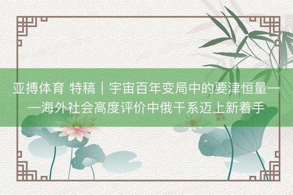 亚搏体育 特稿｜宇宙百年变局中的要津恒量——海外社会高度评价中俄干系迈上新着手