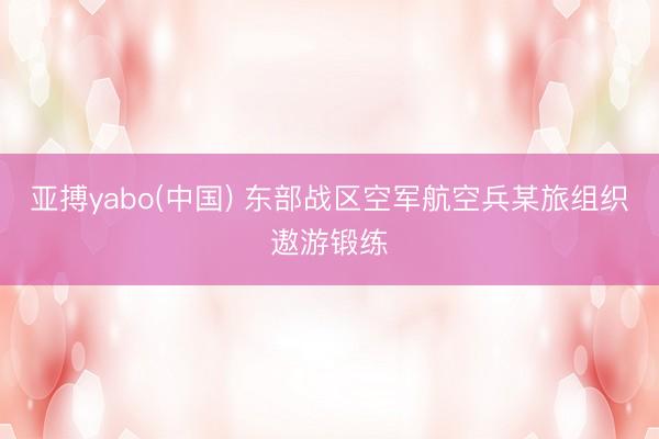 亚搏yabo(中国) 东部战区空军航空兵某旅组织遨游锻练