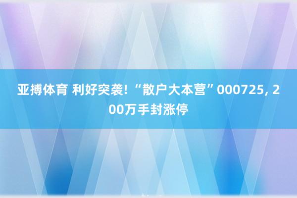 亚搏体育 利好突袭! “散户大本营”000725， 200万手封涨停